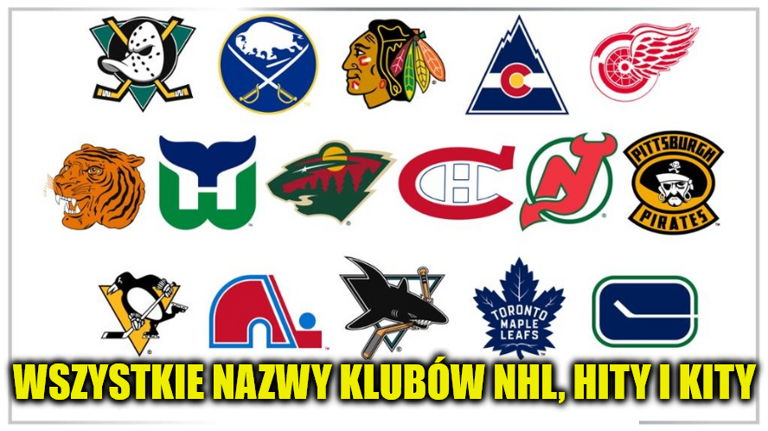 Ranking: wszystkie nazwy klubów NHL, hity i kity