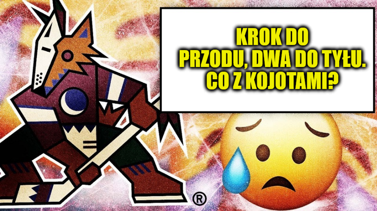 Analiza: Krok do przodu, dwa do tyłu. Co się dzieje w Arizonie?