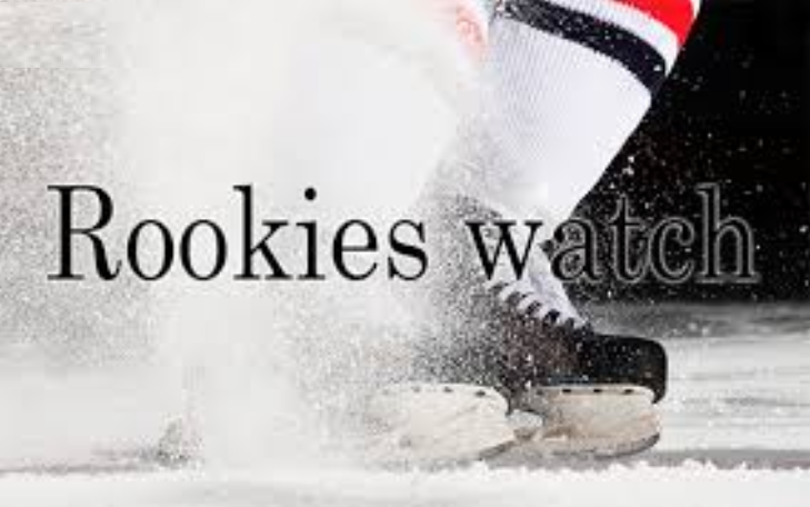 Rookies Watch. Przegląd formy debiutantów po 1/3 sezonu