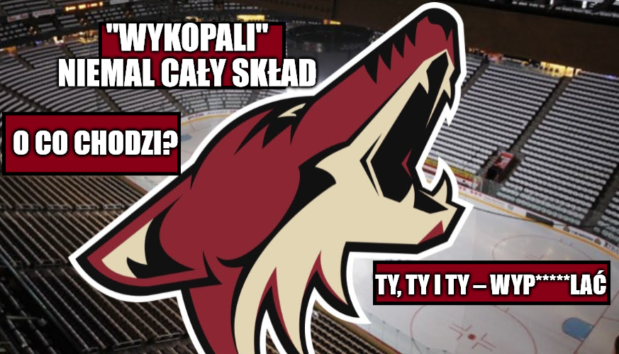 Arizona Coyotes „wykopali” niemal cały skład