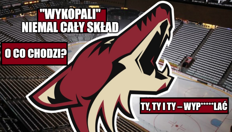 Arizona Coyotes „wykopali” niemal cały skład
