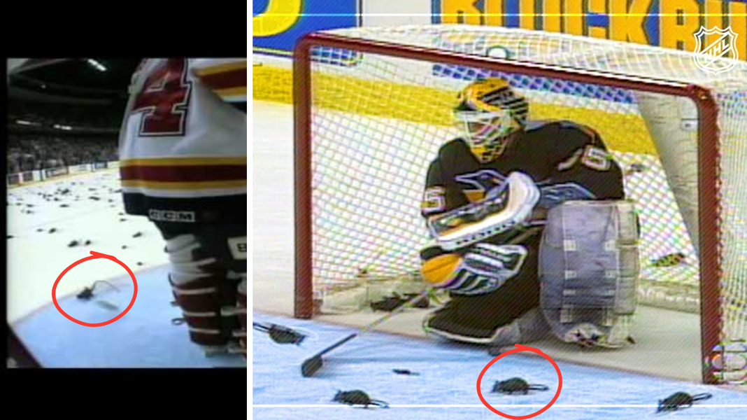 WIDEO. Rok Szczura w NHL. Najlepsze play-offy w historii Panthers. Aż do teraz!