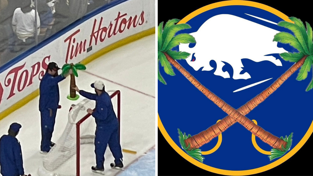 Najsmutniejszy klub NHL. Upadek totalny. A jego symbolem… palma