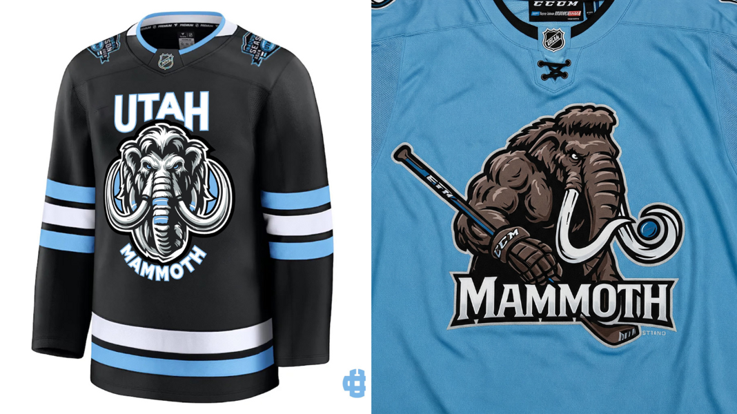Nie mają nazwy w NHL i… tak może zostać! Klątwa z Arizony