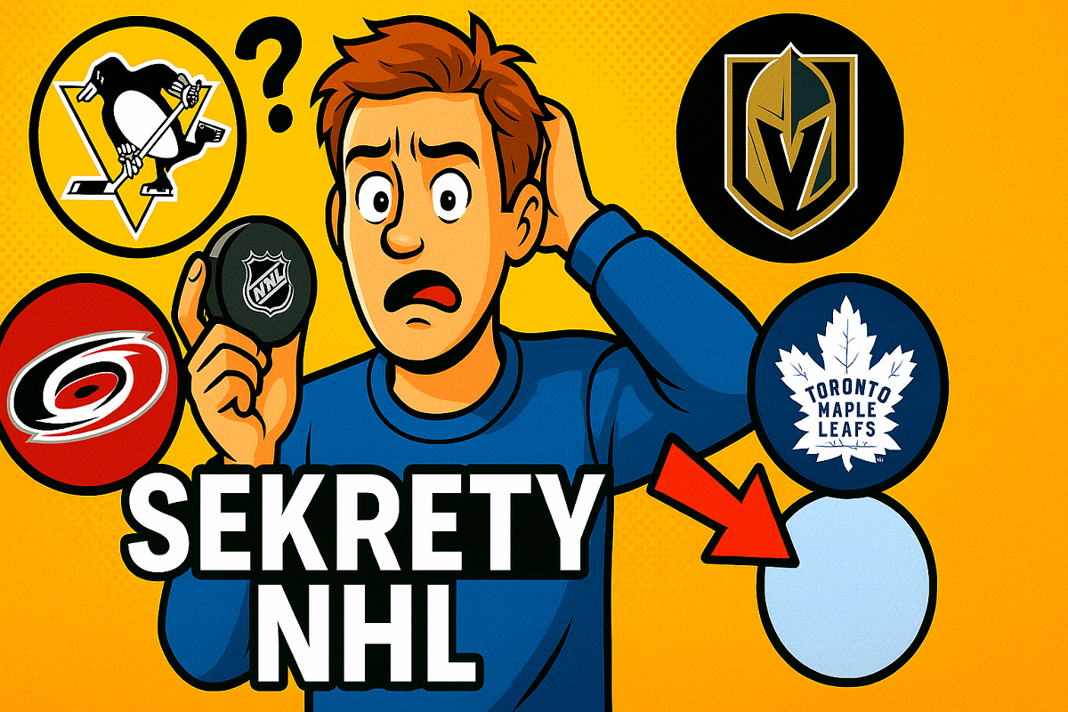 Hokej. Sekrety nazw drużyn NHL! Skąd się wzięły i co naprawdę oznaczają?