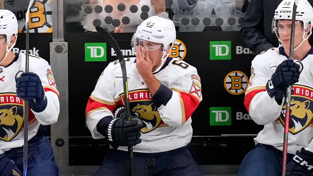 Hokej to nie olimpiada matematyczna. Kogo i za co kochają kibice NHL?