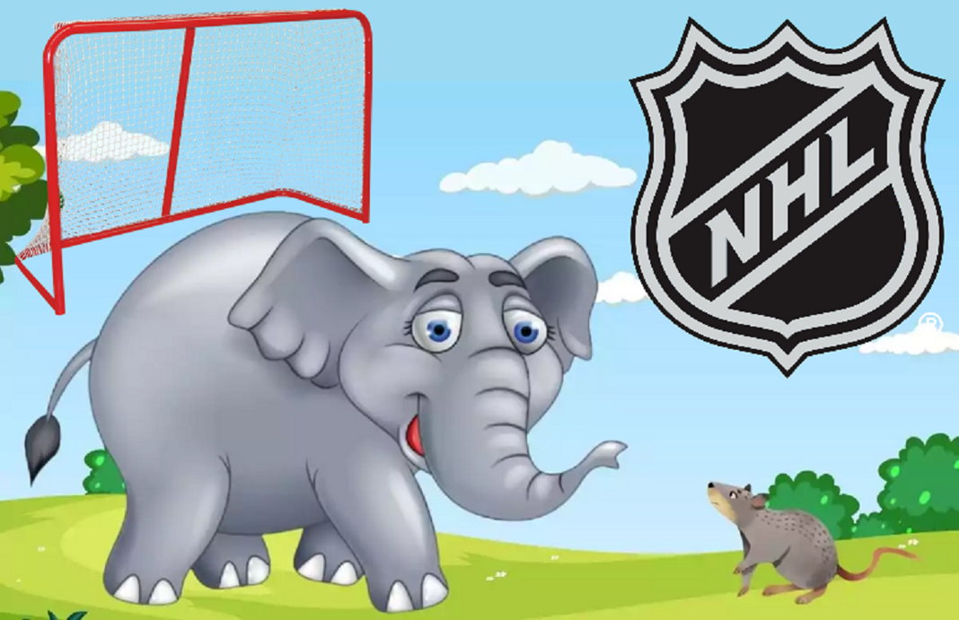 TOP3 burzliwych arbitraży w NHL. Mysz, słoń i najgorszy napastnik