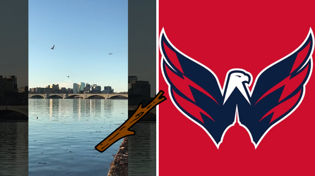 Wolny rynek NHL. Zawracanie kijem Potomaku? Niekoniecznie. Ambitne ruchy Capitals