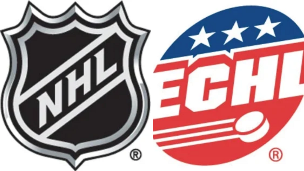 TOP5 graczy w NHL, którzy byli gwiazdami ECHL
